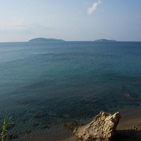 Aphrodite Skiathos Megáli Ámosz Kültér fotó