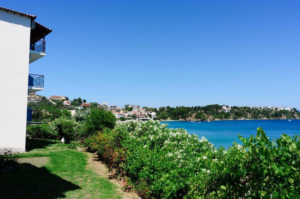 Aphrodite Skiathos Megáli Ámosz Kültér fotó