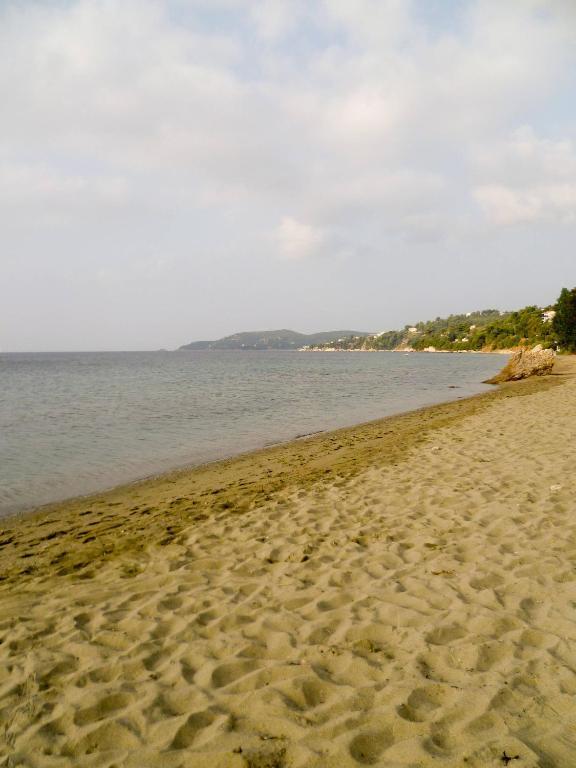 Aphrodite Skiathos Megáli Ámosz Kültér fotó