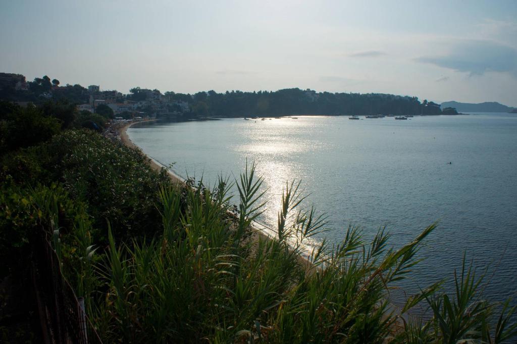 Aphrodite Skiathos Megáli Ámosz Kültér fotó