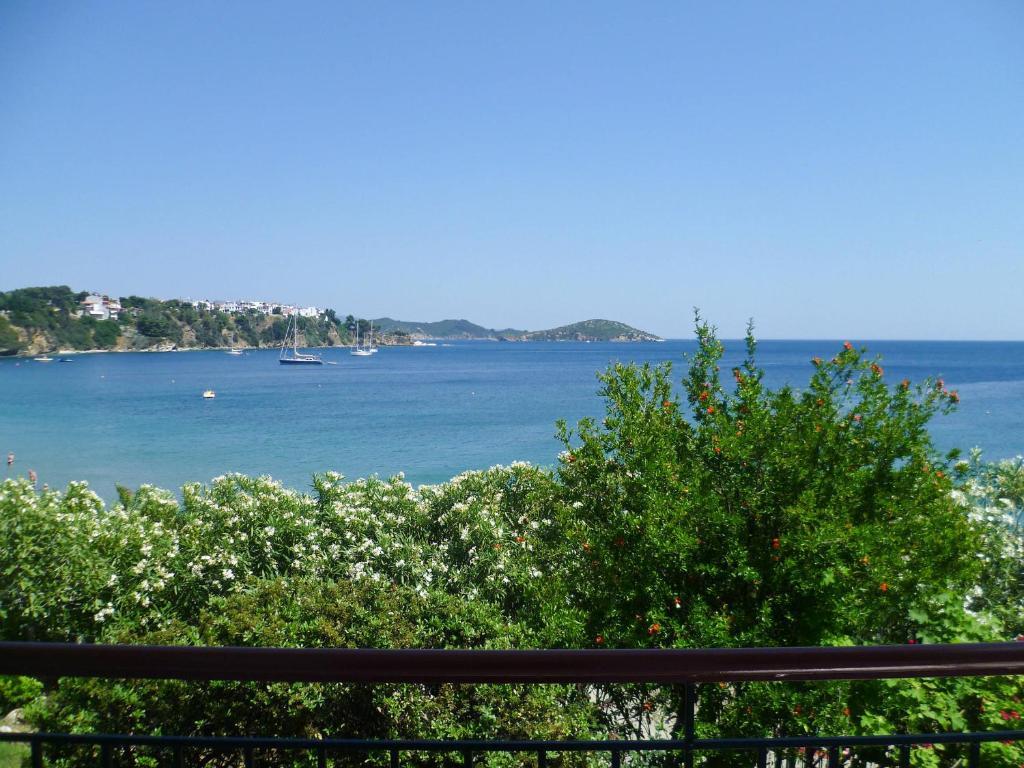 Aphrodite Skiathos Megáli Ámosz Kültér fotó