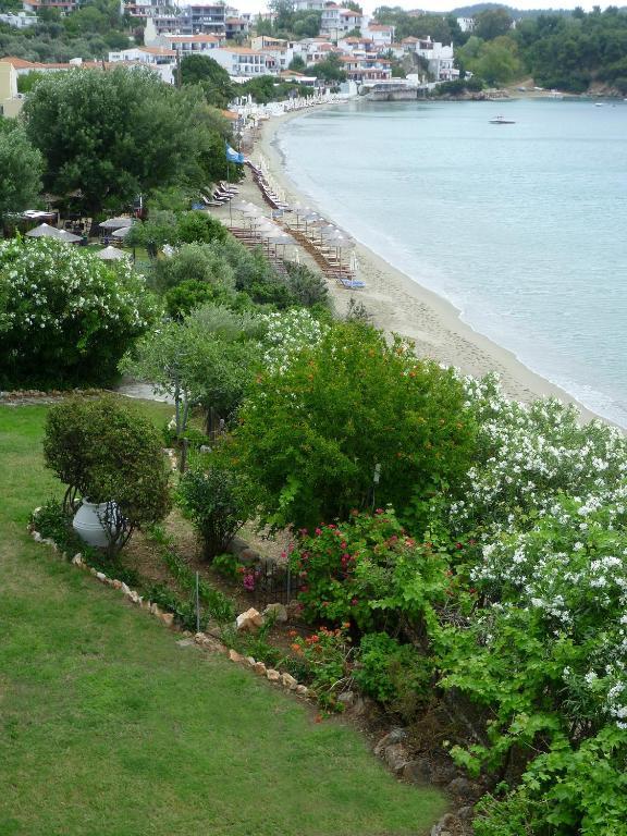 Aphrodite Skiathos Megáli Ámosz Kültér fotó