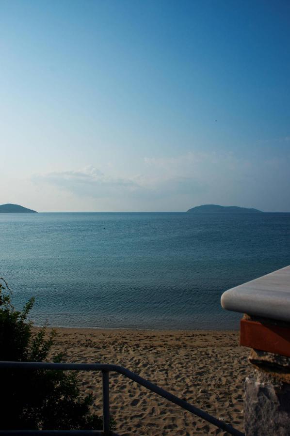 Aphrodite Skiathos Megáli Ámosz Kültér fotó