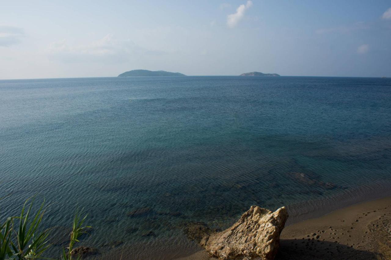 Aphrodite Skiathos Megáli Ámosz Kültér fotó